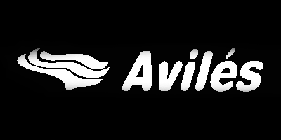 Grupo Aviles