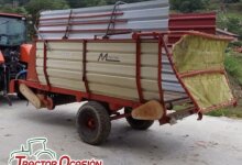 Imágen relacionada