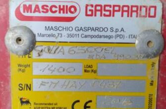 Maschio gaspardo golia