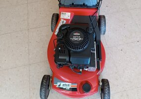 CORTACESPED EFCO AR 53 TB