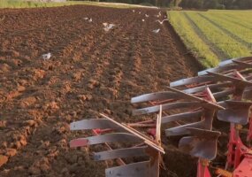 Pottinger servo 35S plus