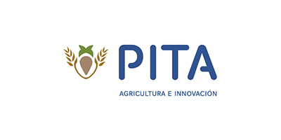 PITA