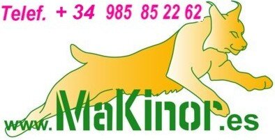 Makinor