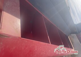 La musa Europa 2000 XS