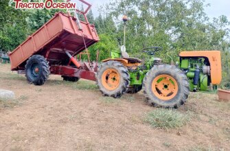 Goldoni export 