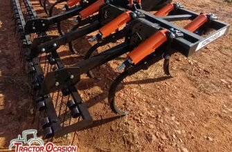 CHISEL 19 BRAZOS 40X30