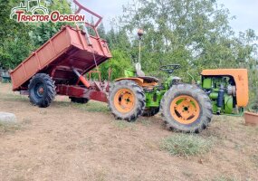 Goldoni export 