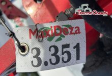 Imágen relacionada