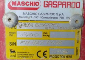 Maschio gaspardo golia