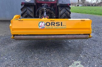 orsi